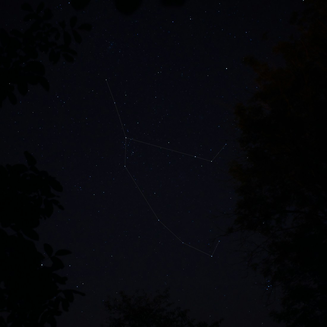 Céu estrelado, imagem do horóscopo