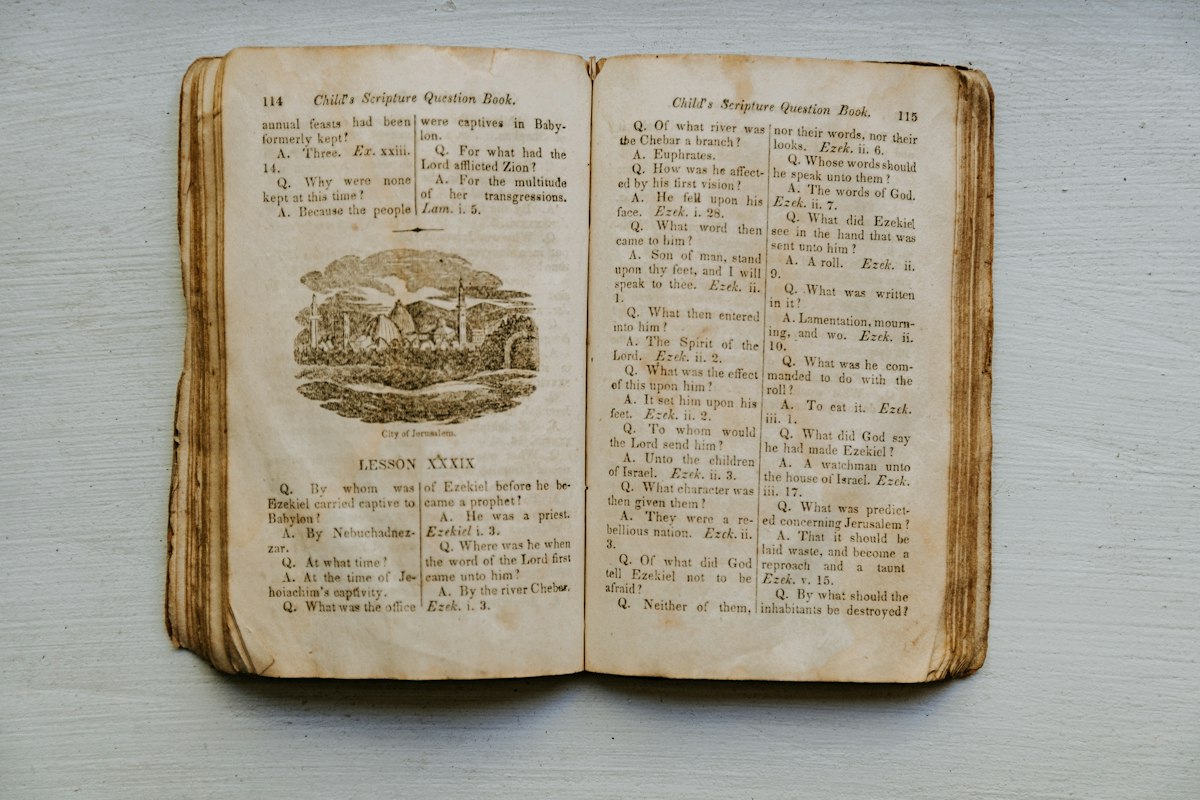Grimório pessoal: como começar um caderno de estudos botânicos
